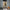 American heavy weight retro work pants, men's autumn loose straight tube trendy casual pants, men's spring and autumn wide leg leggings