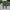 Brand Men Grey Casual Jeans  Business Stretch Straight Denim Trousers Pants Male Plus Size