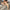 S-2XL Plus Size Pants Women Casual High Waist Cargo Pants Women Loose Solid Black Khaki Trousers Pockets Elastic Waist Bottoms