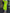 Fashion Women's Wool Coat Lapel Loose Double-sided Grass Green Sashes Waist Long Sleeve Overcoat Winter New