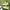 Bread shoes yellow green and white color matching retro dopamine men and women thick-soled comfortable skateboard shoes