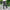 Brand Men Grey Casual Jeans  Business Stretch Straight Denim Trousers Pants Male Plus Size