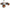 Modular design High-strength material electric innovation kart, more than 20 kinds of assembly methods