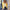 Spring And Summer Small Suit Long Sleeve Solid Color Cardigan Coat Women's Suit
