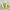 Bread shoes yellow green and white color matching retro dopamine men and women thick-soled comfortable skateboard shoes